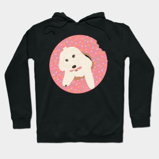 Donut Maltipoo Dog Hoodie